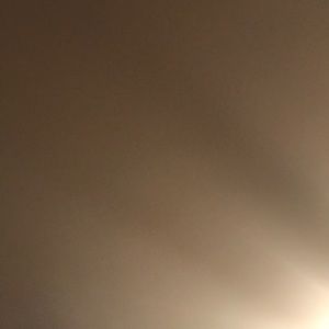 Meet your Posher, Shari